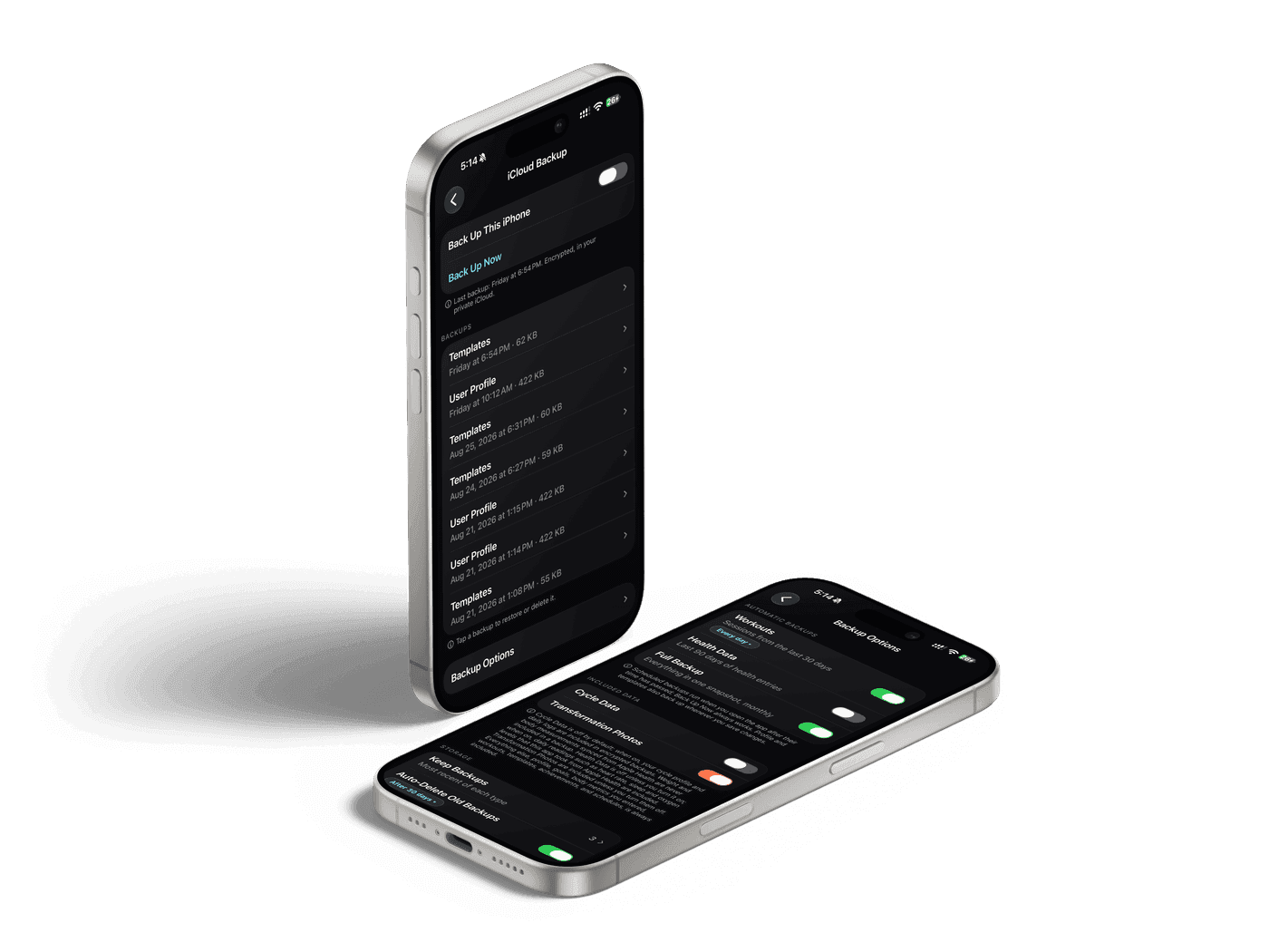 iCloud backup and sync settings for Zealo data